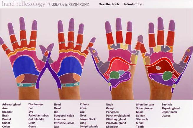 reflexologie - harta mana