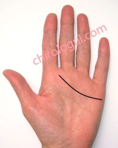 Linia Inimii lungime 