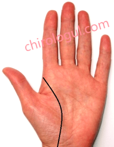 linie a vieții clară, bine conturată